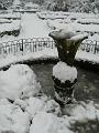 Herb garden in the snow, Greenwich Park P1070364